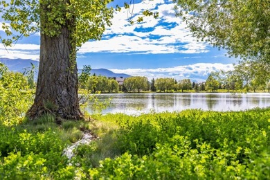 Few homesites in Bridger Lake Meadows can claim this: a position - photo 10