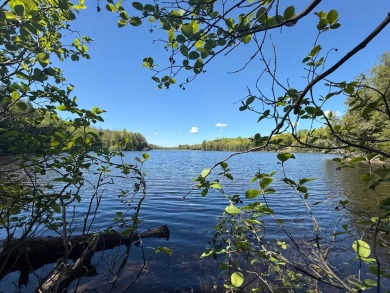 Lake Lot For Sale in , Michigan