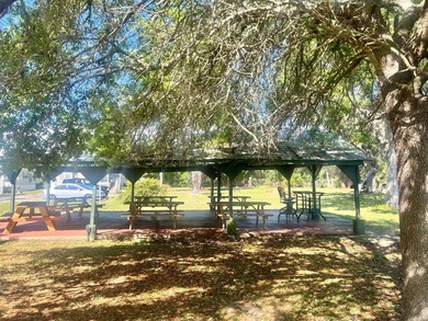 ALL AGE PARK, PET FRIENDLY, $550/MONTH LOT RENT UTILITIES - photo 32