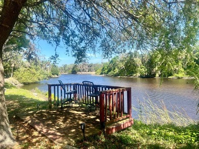ALL AGE PARK, PET FRIENDLY, $550/MONTH LOT RENT UTILITIES - photo 34