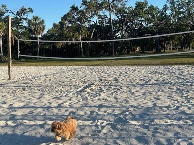 ALL AGE PARK, PET FRIENDLY, $550/MONTH LOT RENT UTILITIES - photo 37