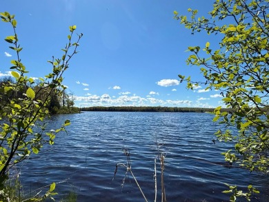 Lake Acreage For Sale in Watersmeet, Michigan
