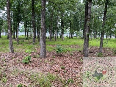 Lake Lot For Sale in Bradley, Arkansas