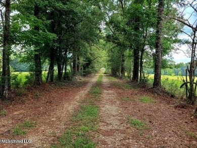 (private lake, pond, coastal) Acreage For Sale in Poplarville Mississippi