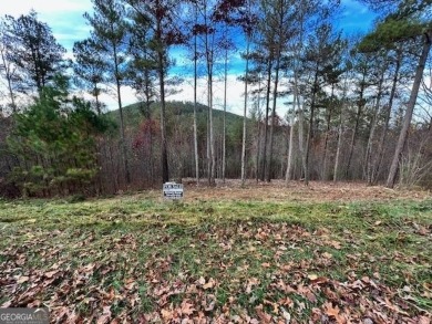 Lake Nottely Lot For Sale in Blairsville Georgia