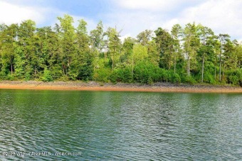 Smith Lake Main Channel-Big views from this main channel lot on - Lake Lot For Sale in Arley, Alabama