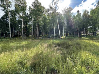 Monte Verde Lake Lot For Sale in Angel Fire New Mexico