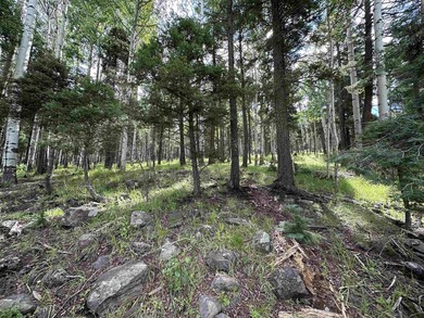Additional listing photo 1