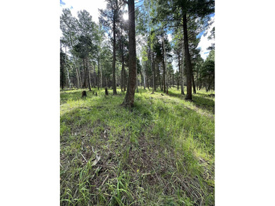 Additional listing photo 4