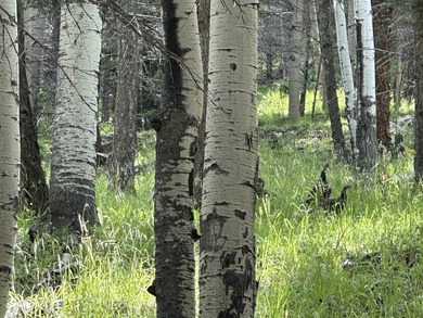 Enjoy all the wildlife and tranquility from this beautiful - photo 6