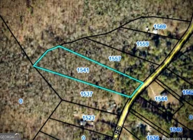 Lake Acreage For Sale in Bowman, Georgia