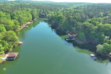 Welcome to elevated lakefront living on beautiful Lake Harding - photo 46