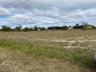 Nice triple waterfront lot in growing area of Cape Coral. Build - photo 3