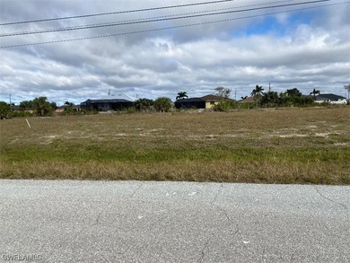 Nice triple waterfront lot in growing area of Cape Coral. Build - photo 4