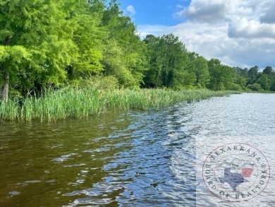 Lake Acreage For Sale in Bradley, Arkansas