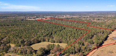 61 acre tract offering the best of East Texas country living - photo 2