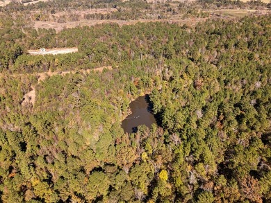 61 acre tract offering the best of East Texas country living - photo 3