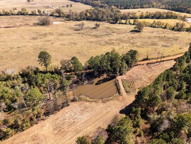 61 acre tract offering the best of East Texas country living - photo 4