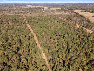 61 acre tract offering the best of East Texas country living - photo 5