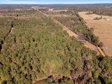 61 acre tract offering the best of East Texas country living - photo 6