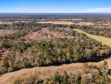 61 acre tract offering the best of East Texas country living - photo 7