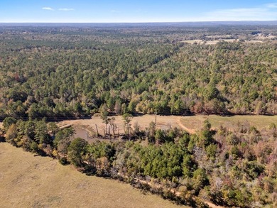 61 acre tract offering the best of East Texas country living - photo 8