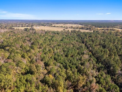 61 acre tract offering the best of East Texas country living - photo 9