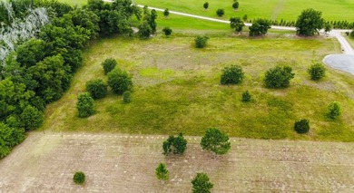 The Retreat at Lake Seminole with a 1.50 acre lot for sale! This - photo 2