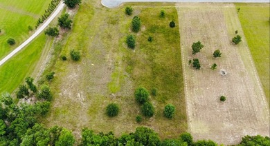 The Retreat at Lake Seminole with a 1.50 acre lot for sale! This - photo 4