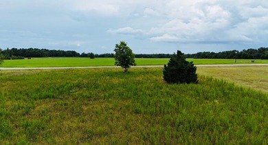 The Retreat at Lake Seminole with a 1.50 acre lot for sale! This - photo 6