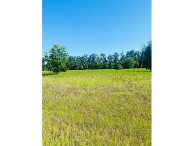 The Retreat at Lake Seminole with a 1.50 acre lot for sale! This - photo 7