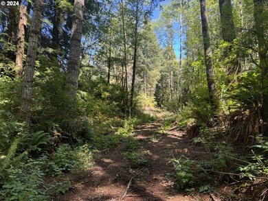 12.66 +/- ACRE LOT AVAILABLE ON DEVORE ARM WITH TENMILE LAKE - photo 11