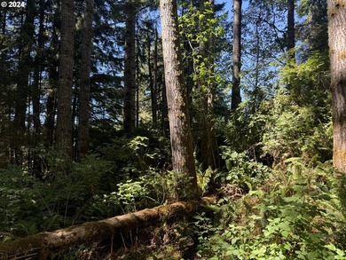 12.66 +/- ACRE LOT AVAILABLE ON DEVORE ARM WITH TENMILE LAKE - photo 12