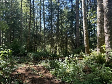 12.66 +/- ACRE LOT AVAILABLE ON DEVORE ARM WITH TENMILE LAKE - photo 13