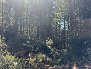 12.66 +/- ACRE LOT AVAILABLE ON DEVORE ARM WITH TENMILE LAKE - photo 16