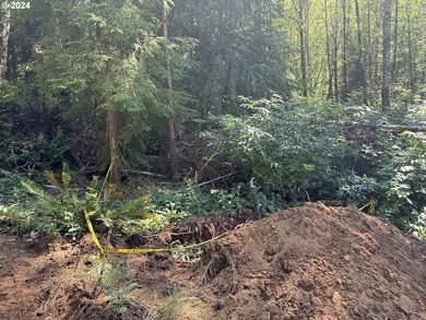 12.66 +/- ACRE LOT AVAILABLE ON DEVORE ARM WITH TENMILE LAKE - photo 17