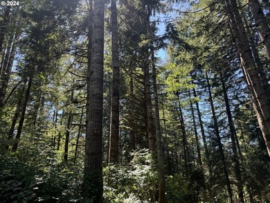 12.66 +/- ACRE LOT AVAILABLE ON DEVORE ARM WITH TENMILE LAKE - photo 18