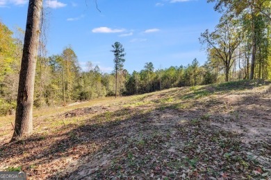 (private lake, pond, creek) Acreage For Sale in Lanett Alabama