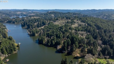 12.66 +/- ACRE LOT AVAILABLE ON DEVORE ARM WITH TENMILE LAKE - photo 30