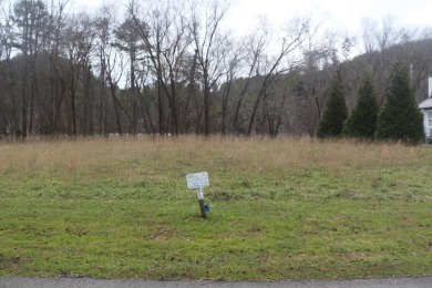 Lake Lot For Sale in Murphy, North Carolina