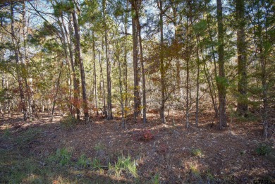 Lake Acreage For Sale in Tyler, Texas