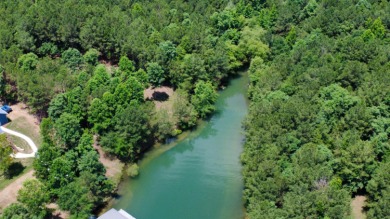 Discover the perfect setting for your dream lake home on Lot 83 - photo 11