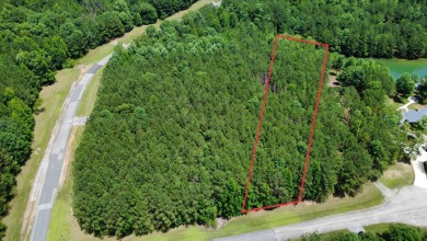 Discover the perfect setting for your dream lake home on Lot 83 - photo 13