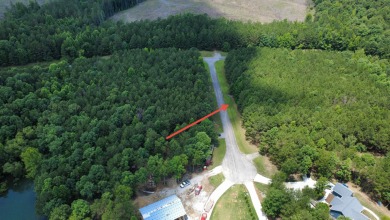Discover the perfect setting for your dream lake home on Lot 83 - photo 15