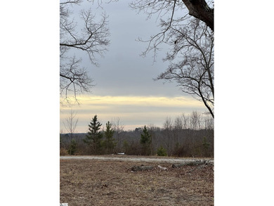 Beautiful 3.25 acre homesite offering privacy and space to build - photo 17
