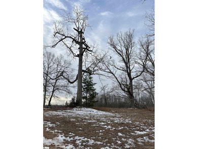 Beautiful 3.25 acre homesite offering privacy and space to build - photo 19