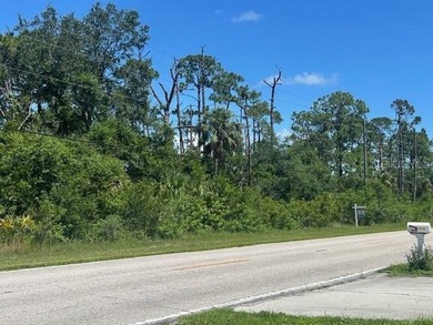 Port Charlotte Waterway Area Lot For Sale in Port Charlotte Florida