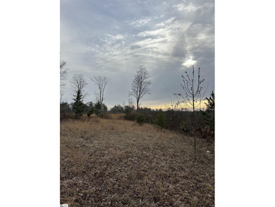Beautiful 3.25 acre homesite offering privacy and space to build - photo 23
