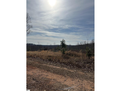 Beautiful 3.25 acre homesite offering privacy and space to build - photo 26