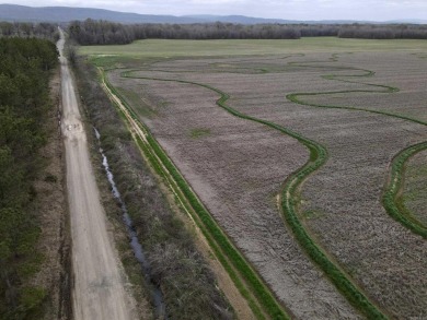 Lake Acreage For Sale in Havana, Arkansas